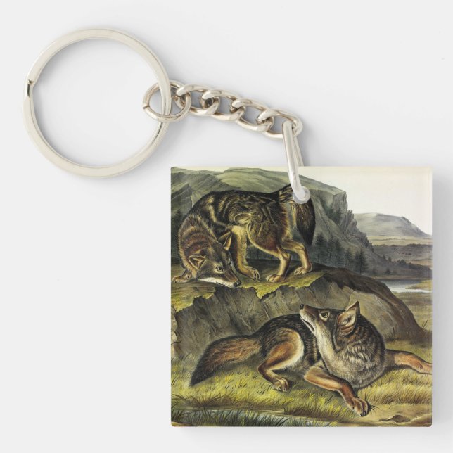 Prairie Wolf (Coyote) from Audubon's Quadrupeds Key Ring (Front)