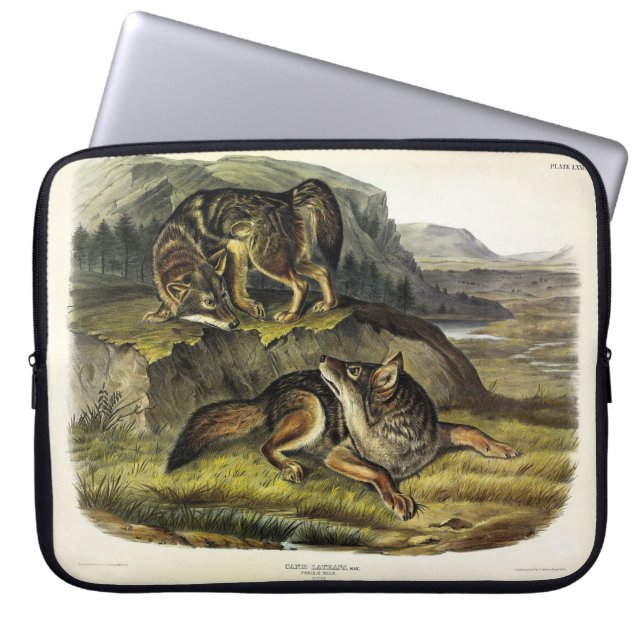 Prairie Wolf (Coyote) from Audubon's Quadrupeds Laptop Sleeve (Front)