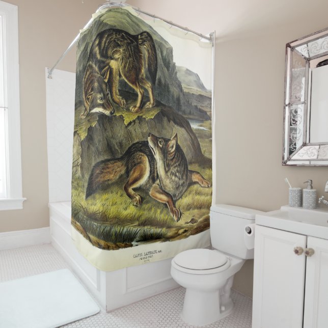 Prairie Wolf (Coyote) from Audubon's Quadrupeds Shower Curtain (In Situ)