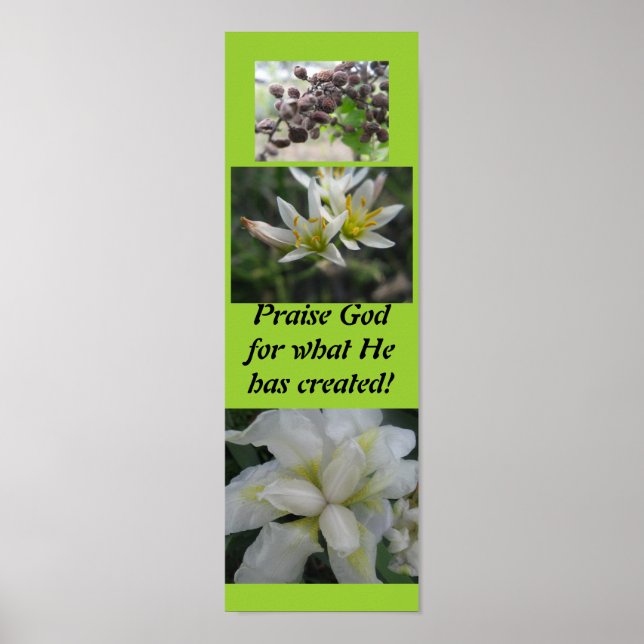 Praise God for what he has created! Poster (Front)