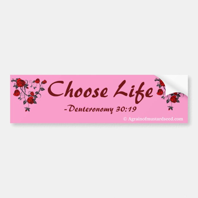 Praise Him N Pink Bible Quote Customise it Bumper Sticker (Front)