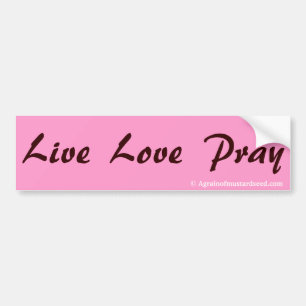 Praise Him N Pink Bible Quote Customise it Bumper Sticker