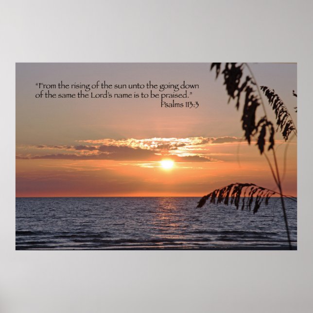 Praise the Lord (Psalms 113:3) Scripture Poster (Front)