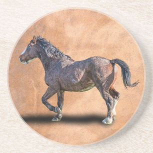 PRANCING HORSE COASTER