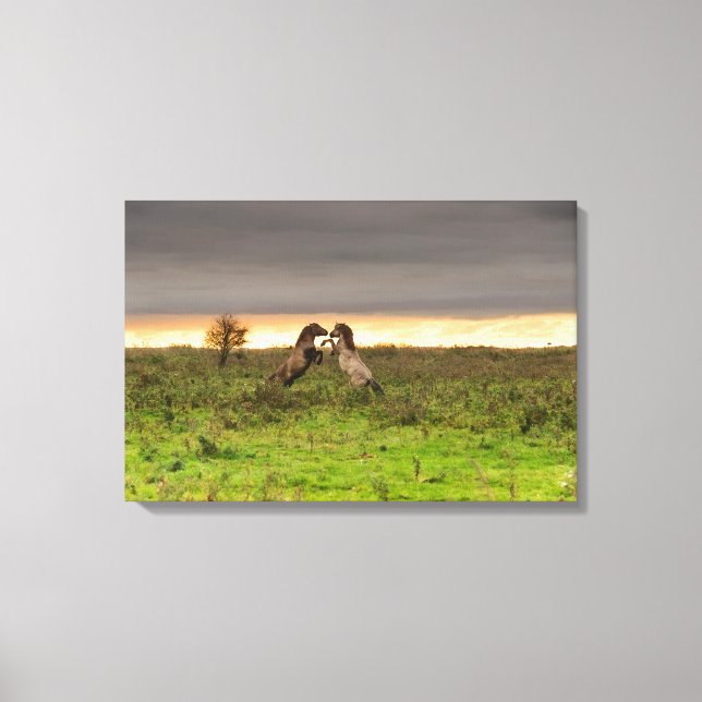 Prancing horses canvas print (Front)