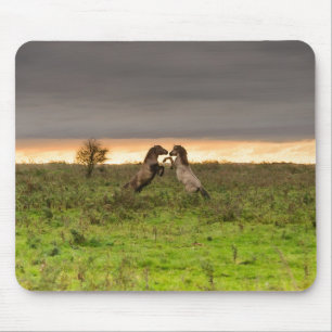 Prancing horses mousepad