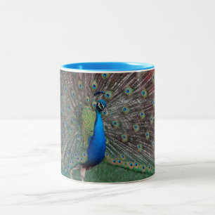 Prancing Peacock Two-Tone Coffee Mug