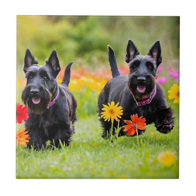 Prancing Scottish Terriers in grass and flowers Tile (Front)