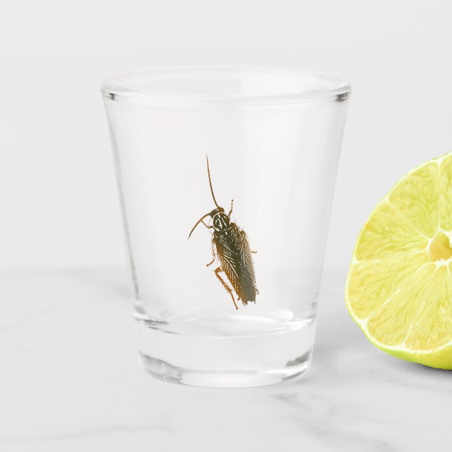 Prank cockroach shot glass (Front)