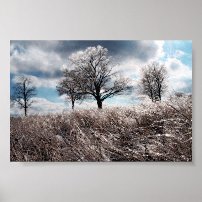 Prarie ice poster (Front)