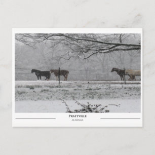 Prattville Alabama Postcard