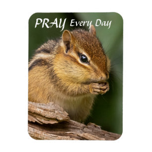 Pray Every Day Chipmunk  Magnet