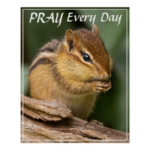 Pray Every Day Chipmunk  Poster