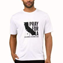 Pray for LA California 2025 wildfire