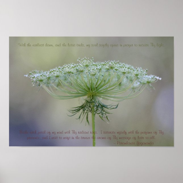 Prayer at Dawn Poster (Front)