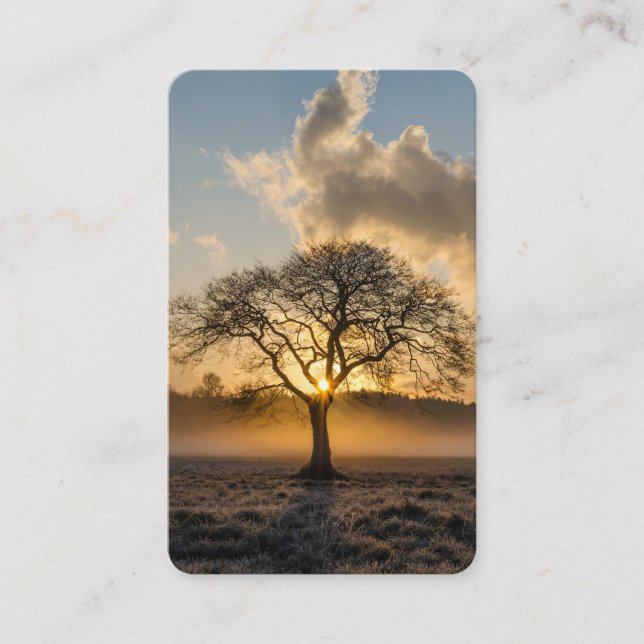 Prayer Cards | Lone Tree Deluxe (Front)