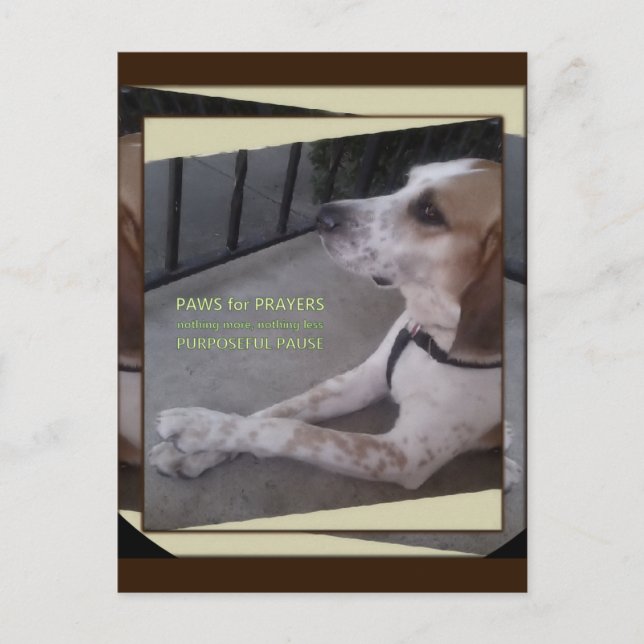 Prayer Dog Paws Postcard (Front)