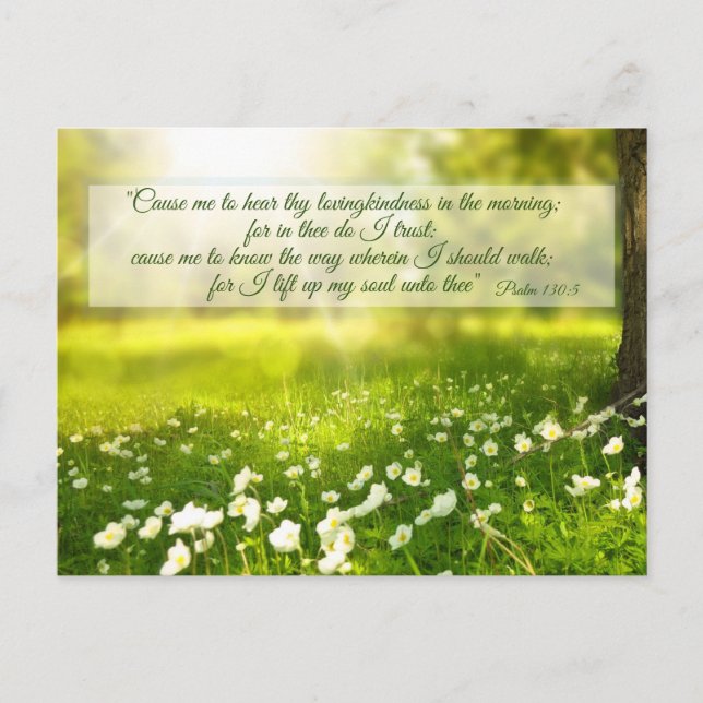 Prayer for God's guidance, spring scene  Postcard (Front)