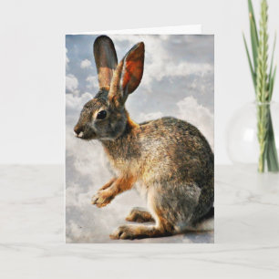 Praying Bunny in the Heavens Card