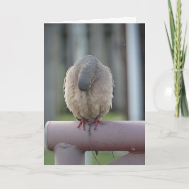 Praying Dove Card (Front)