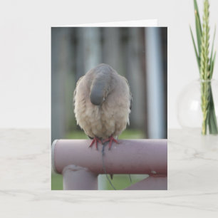 Praying Dove Card