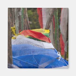 Praying flag poles in mountain, Yotongla Pass 3 Magnet