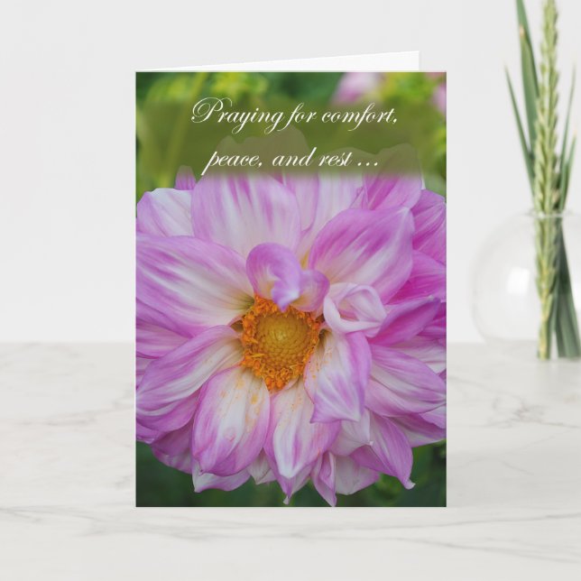 Praying for Comfort Card (Front)
