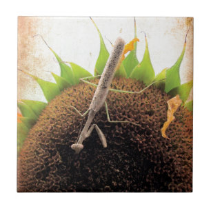 Praying For Sunshine Tile