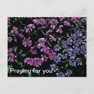 Praying For You Floral Postcard