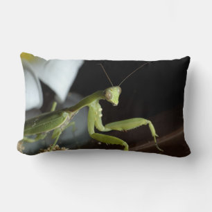 Praying mantid lumbar cushion