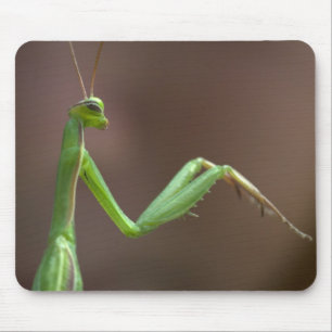 Praying Mantid Mouse Pad