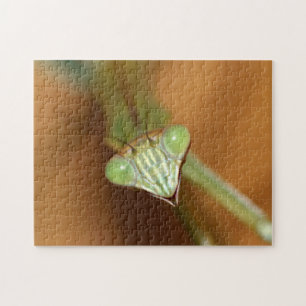 Praying Mantids Jigsaw Puzzle