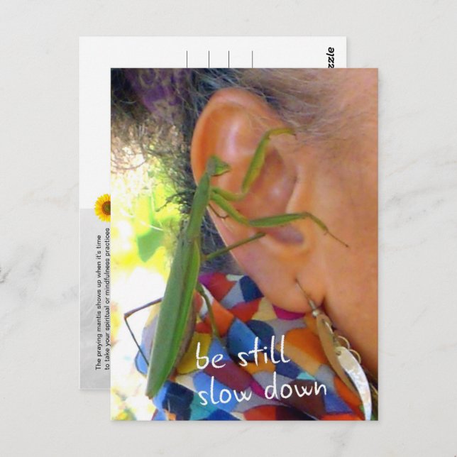 Praying Mantis - be still, slow down - postcard (Front/Back)