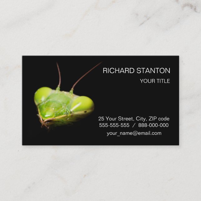 Praying mantis business card (Front)