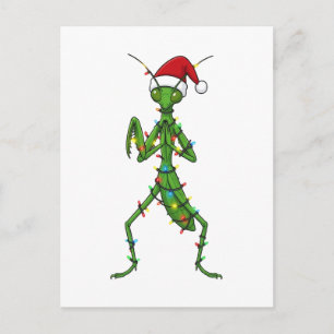 Praying Mantis Christmas Holiday Insect Bug Postcard
