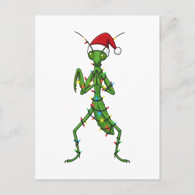 Praying Mantis Christmas Holiday Insect Bug Postcard (Front)