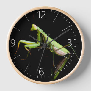 Praying mantis clock