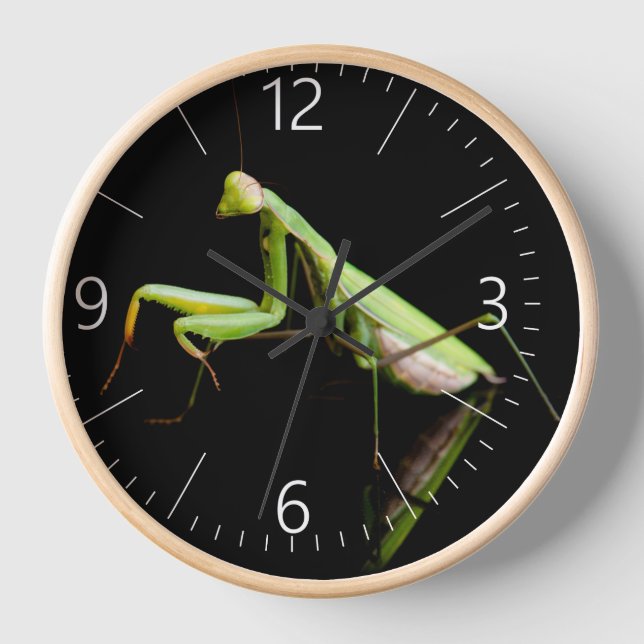 Praying mantis clock (Front)