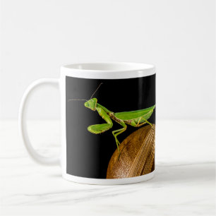 Praying Mantis Close-Up Coffee Mug