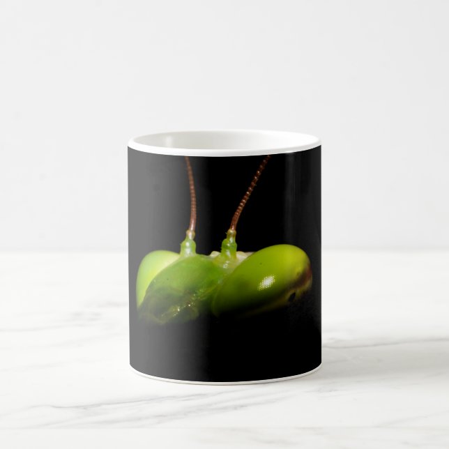 Praying mantis coffee mug (Center)