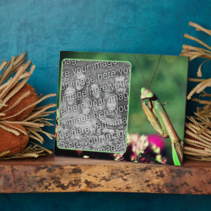 Praying Mantis Create Your Own Photo Plaque