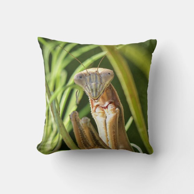 Praying Mantis Cushion (Front)