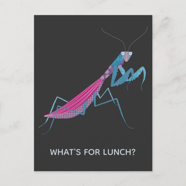 Praying Mantis Custom Text Postcard (Front)