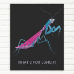 Praying Mantis Custom Text Poster<br><div class="desc">A funny praying mantis for insect and bug lovers.
Some female praying mantises eat their boyfriends. Eek!
Add your own text to customise with a name,  phrase or joke.</div>