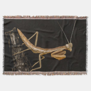 Praying Mantis Cute And Creepy Insect Art Throw Blanket
