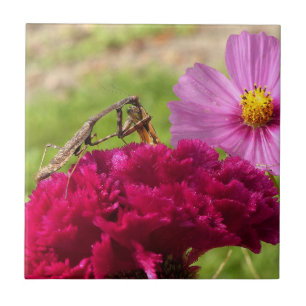 Praying Mantis Dining on a Moth Tile