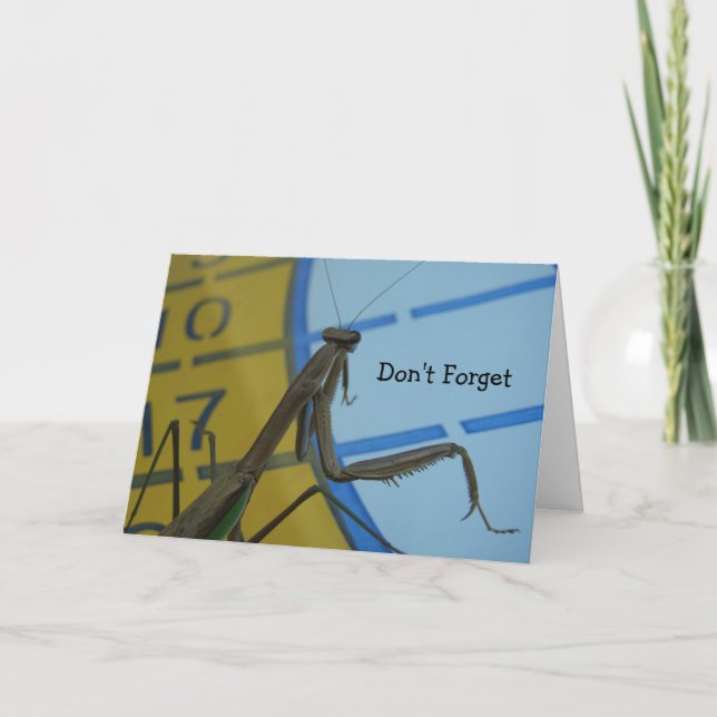 Praying Mantis, Don't Forget Card (Front)