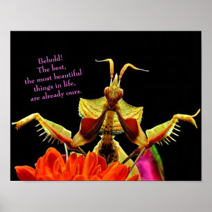 Praying Mantis & Flowers Bright & Beautiful Poster