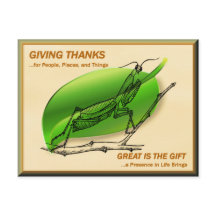 Praying Mantis Giving Thanks