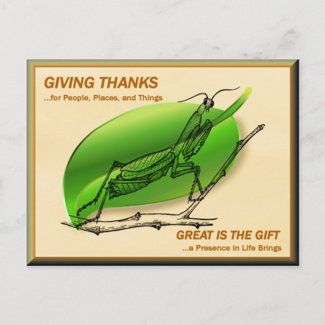 Praying Mantis Giving Thanks Postcard (Front)